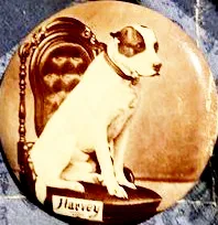 K-9 of Civil War soldier serves as reminder of role animals played in conflict